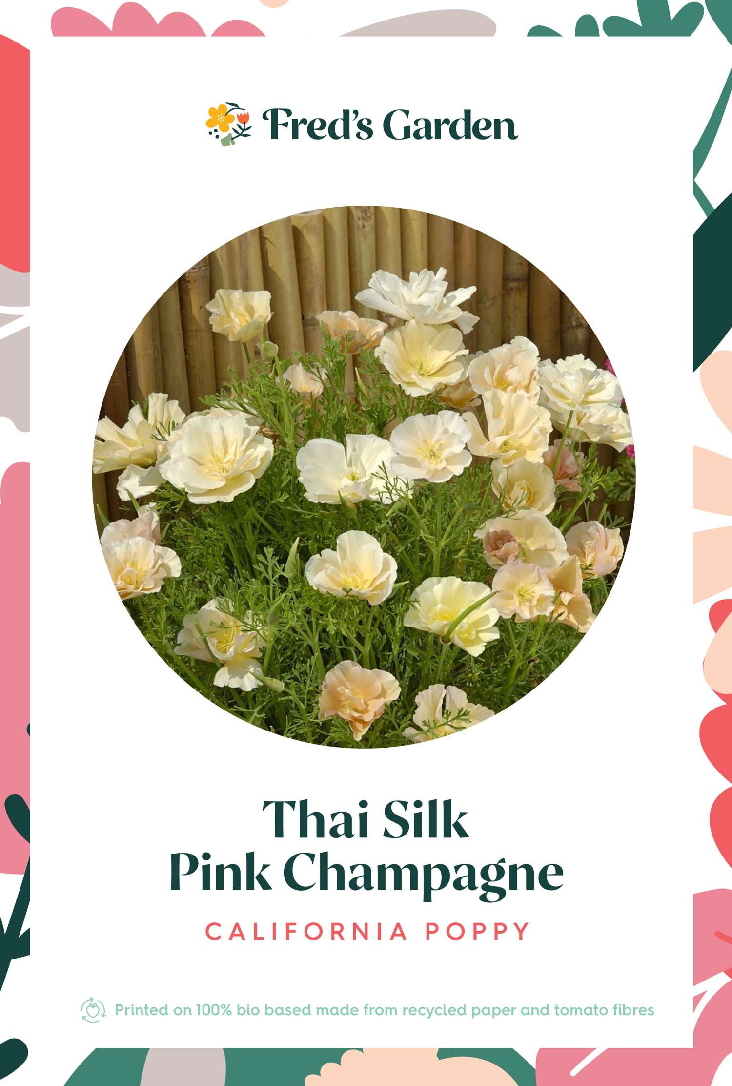 Pavot de Californie 'Pink Champagne' (graines)